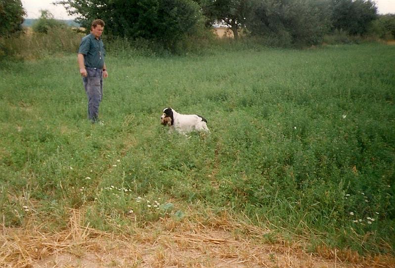 vycvik Grena na dohledavce bazanta.jpg